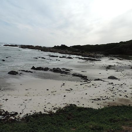 Wave Dancer Bed & Breakfast Gansbaai Luaran gambar