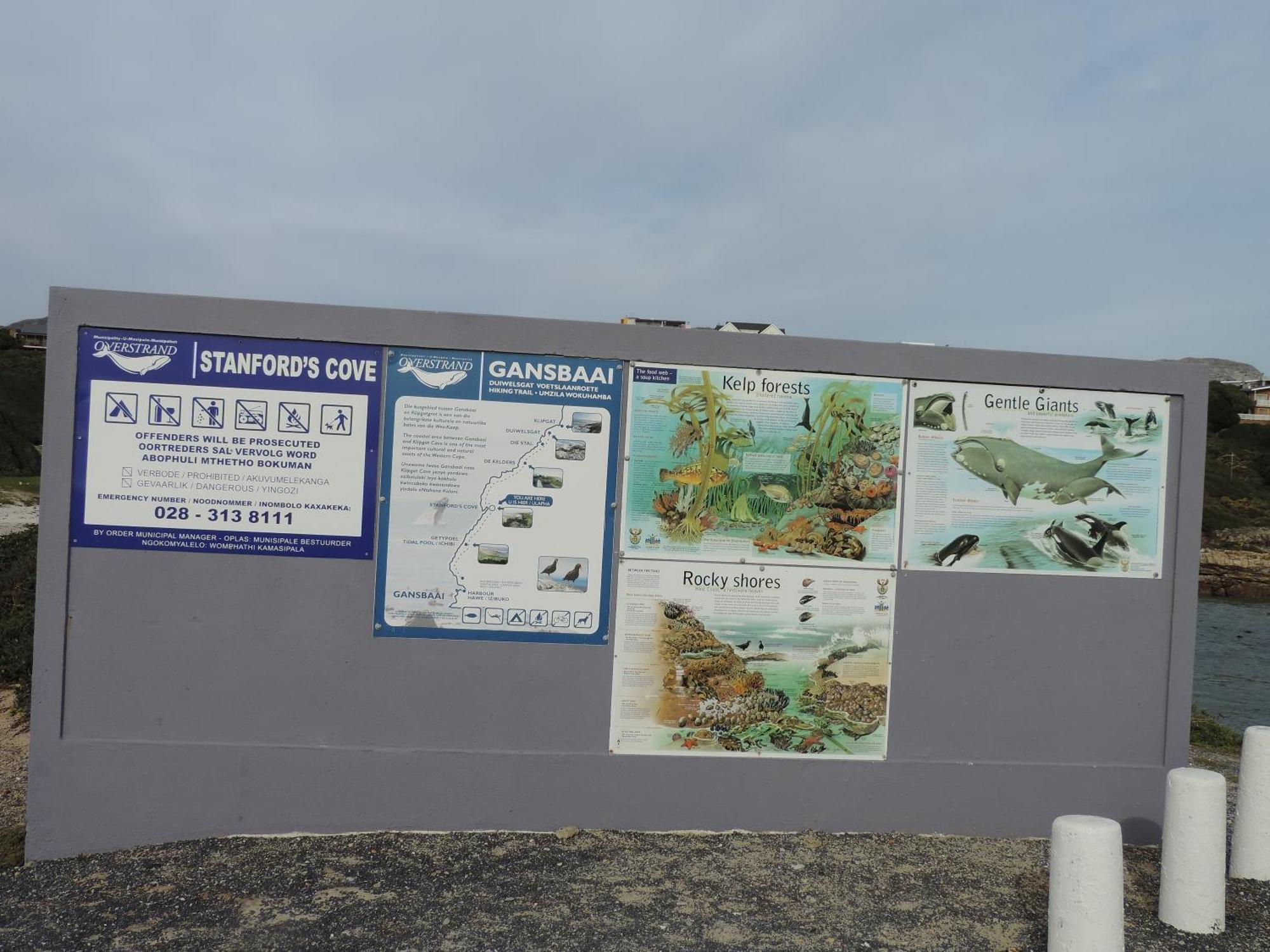 Wave Dancer Bed & Breakfast Gansbaai Luaran gambar