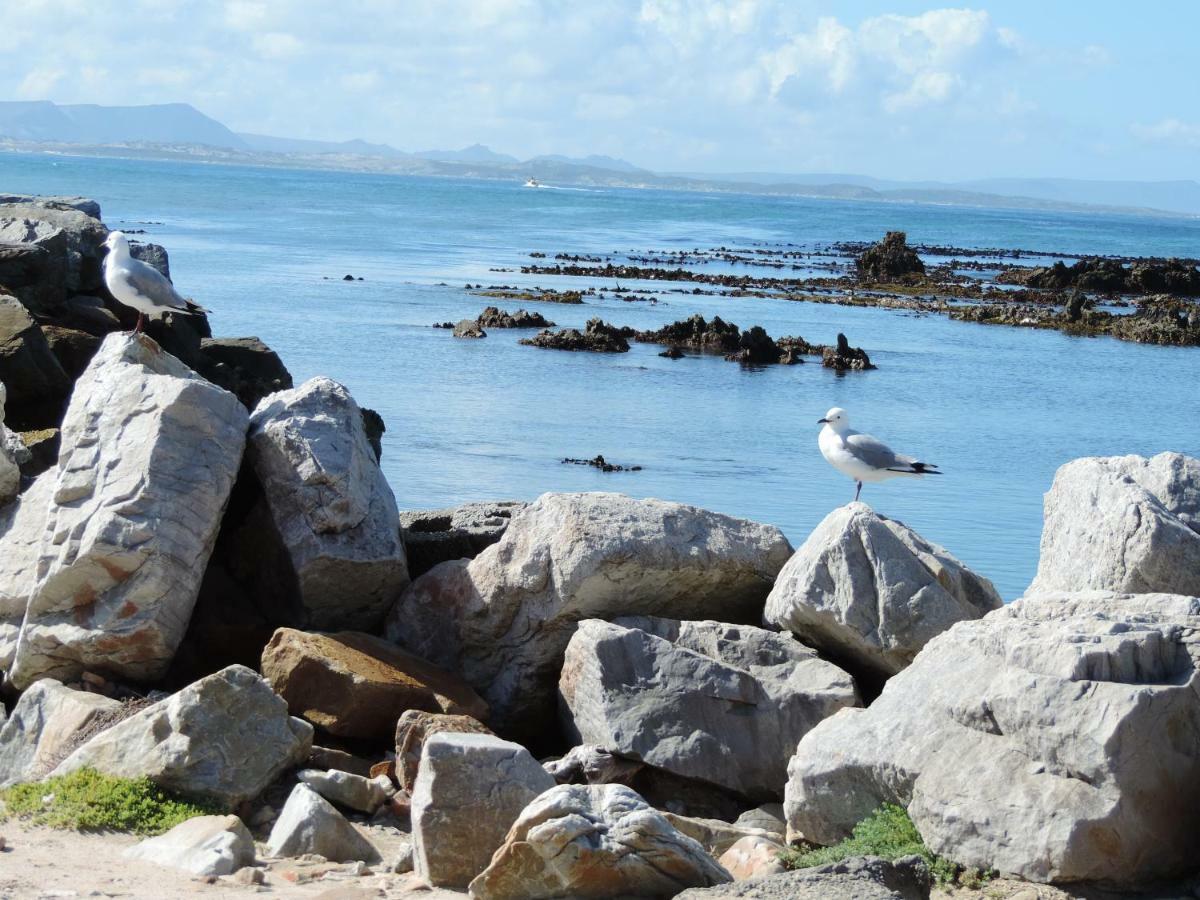 Wave Dancer Bed & Breakfast Gansbaai Luaran gambar