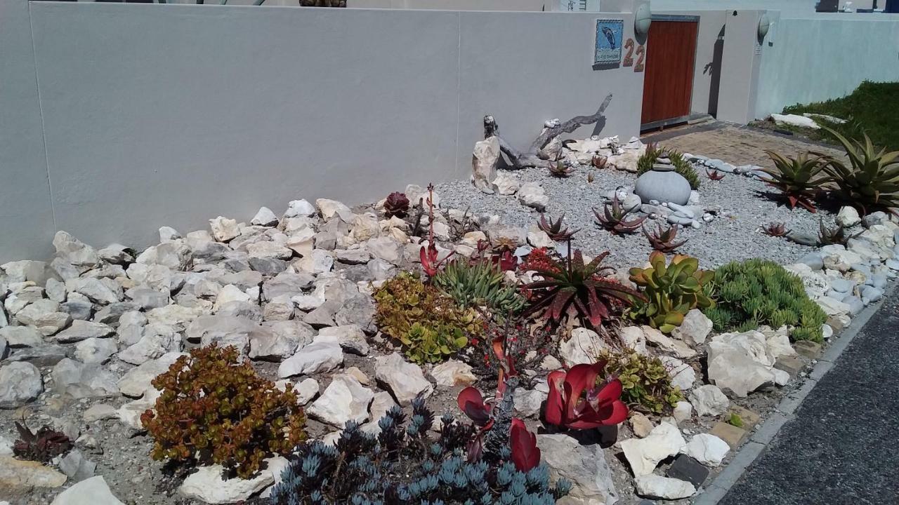 Wave Dancer Bed & Breakfast Gansbaai Luaran gambar