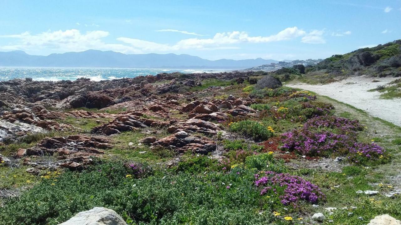 Wave Dancer Bed & Breakfast Gansbaai Luaran gambar