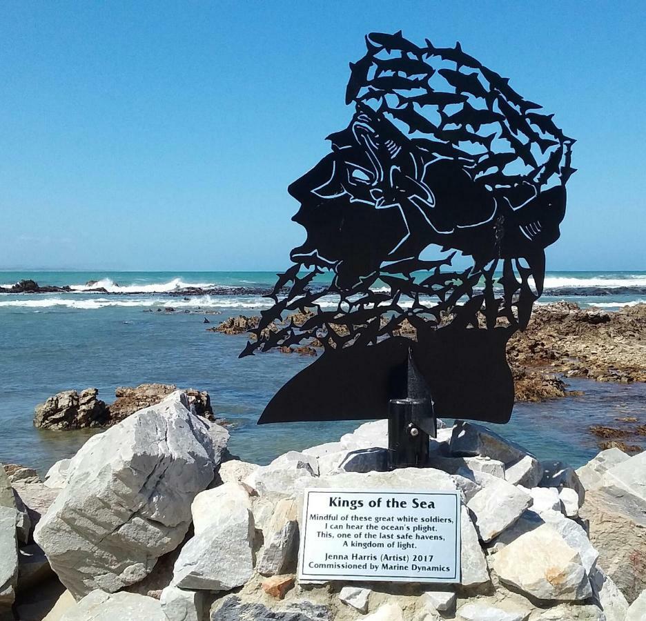 Wave Dancer Bed & Breakfast Gansbaai Luaran gambar